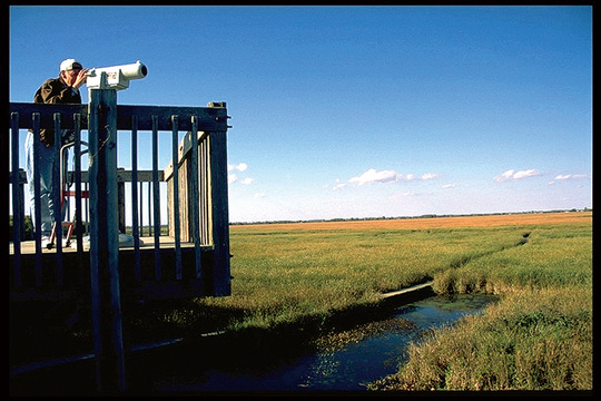 Point-Pelee44.jpg