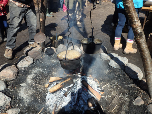 JW16=-Wye-Marsh-Sweet-Water-Festival,-maple-(31).jpg