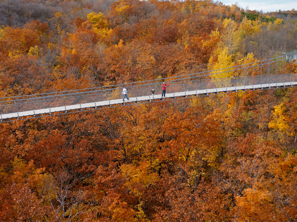 Autumn View from Suspension Bridge 600x450.jpg