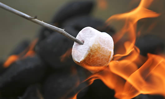 Camping fire_f01.jpg