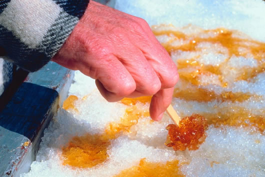 maple4_530.jpg