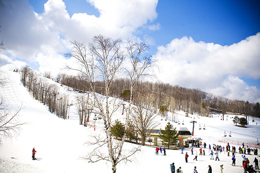 Horseshoe resort winter overview hill1.jpg