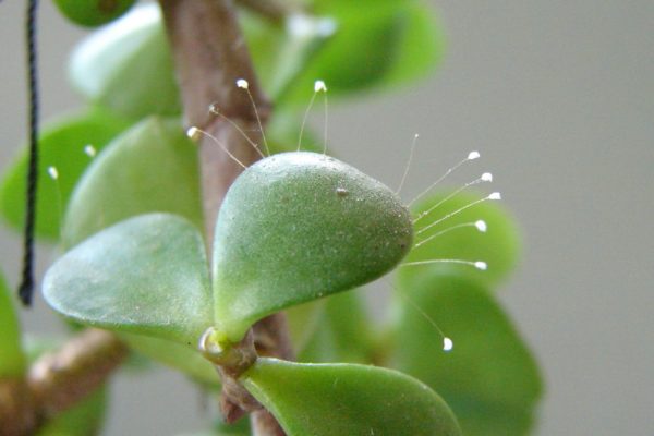 706261006511500-600x400.jpg