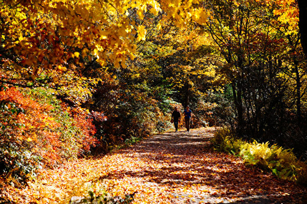 1610272214381973-600x400.jpg