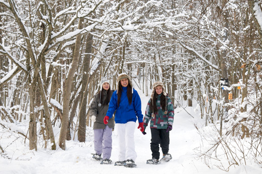 AHP12_02731_DVDS_Hamlin_RTO7_Snowshoe.jpg