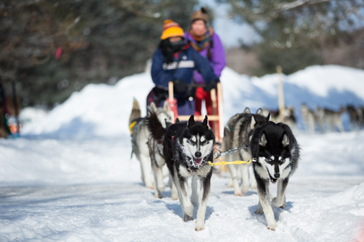 20150212_Haliburton-Forest_9444.jpg