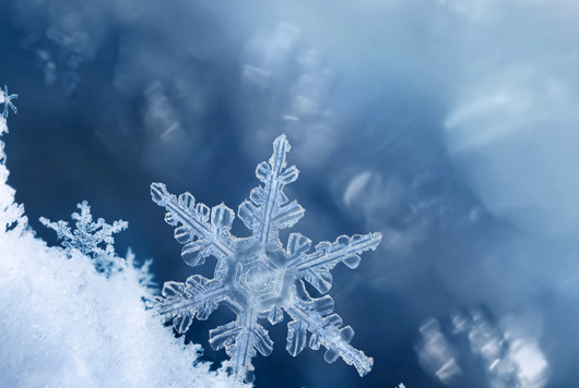 shutterstock_225906547-2.jpg