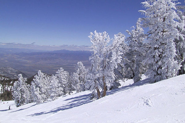 Tahoeski-600x400.jpg