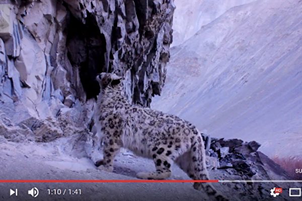 snow-600x400.jpg