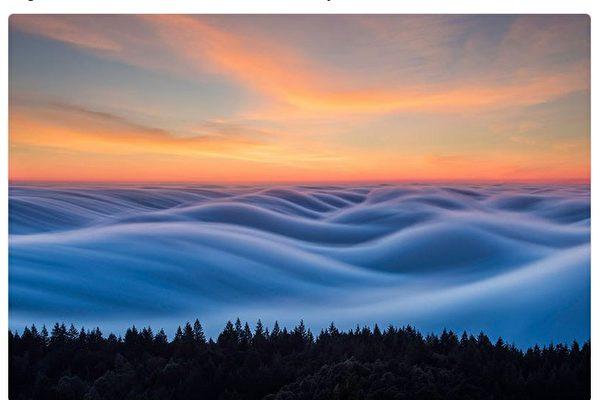 fog-wave-600x400