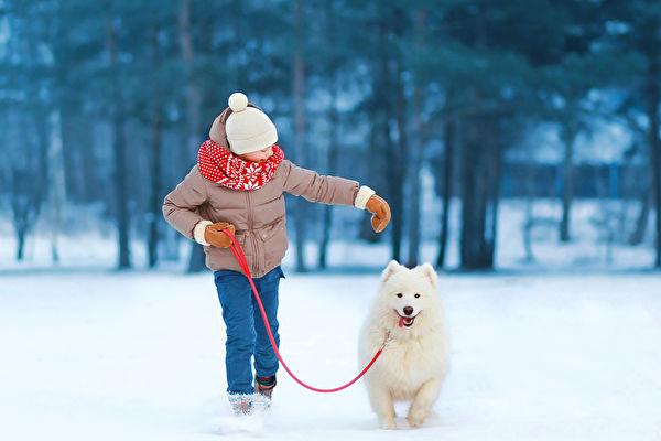 shutterstock_226638472-600x400