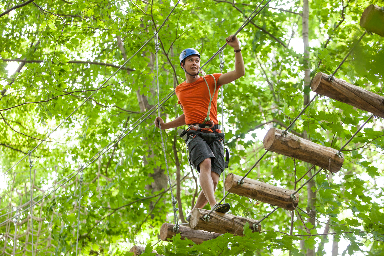 Treetop6.jpg