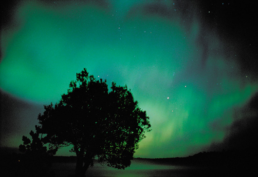 northern-light.jpg