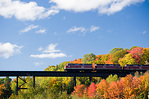 Agawa Canyon Tour Train-深入加拿大原始地帶