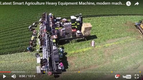 agricuture.JPG