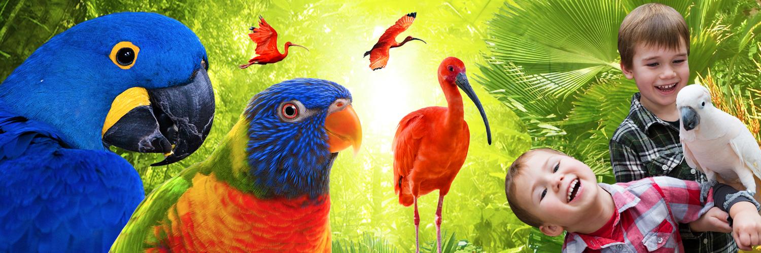 websitebanner2017feb_0.jpg