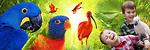 Coupon - Bird Kingdom 尼亞加拉百鳥園 - 門票省$3