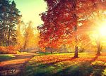 【加拿大旅行】安省8大賞楓路線 秋季美景看個夠 