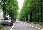 配有64kWh大容量電池，1次充電行駛里程可達到406km的Kona Electric。充足的行駛里程，讓我們安心在林蔭大道上駕車兜風(Hyundai)