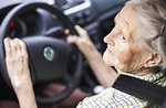 研究：老年人開車不宜帶寵物 