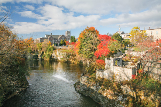 Galbraith,-Sylvia-Downtown-Fergus.jpg