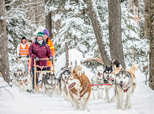 Haliburton-Forest---Dog-Sledding-(1).jpg