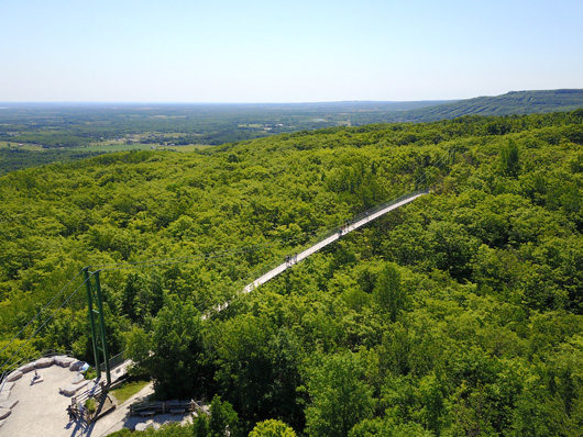 Bridge_web.jpg