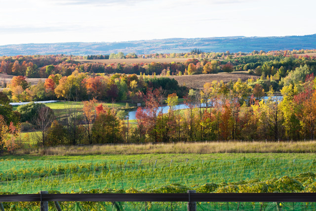 Fall-View.jpg