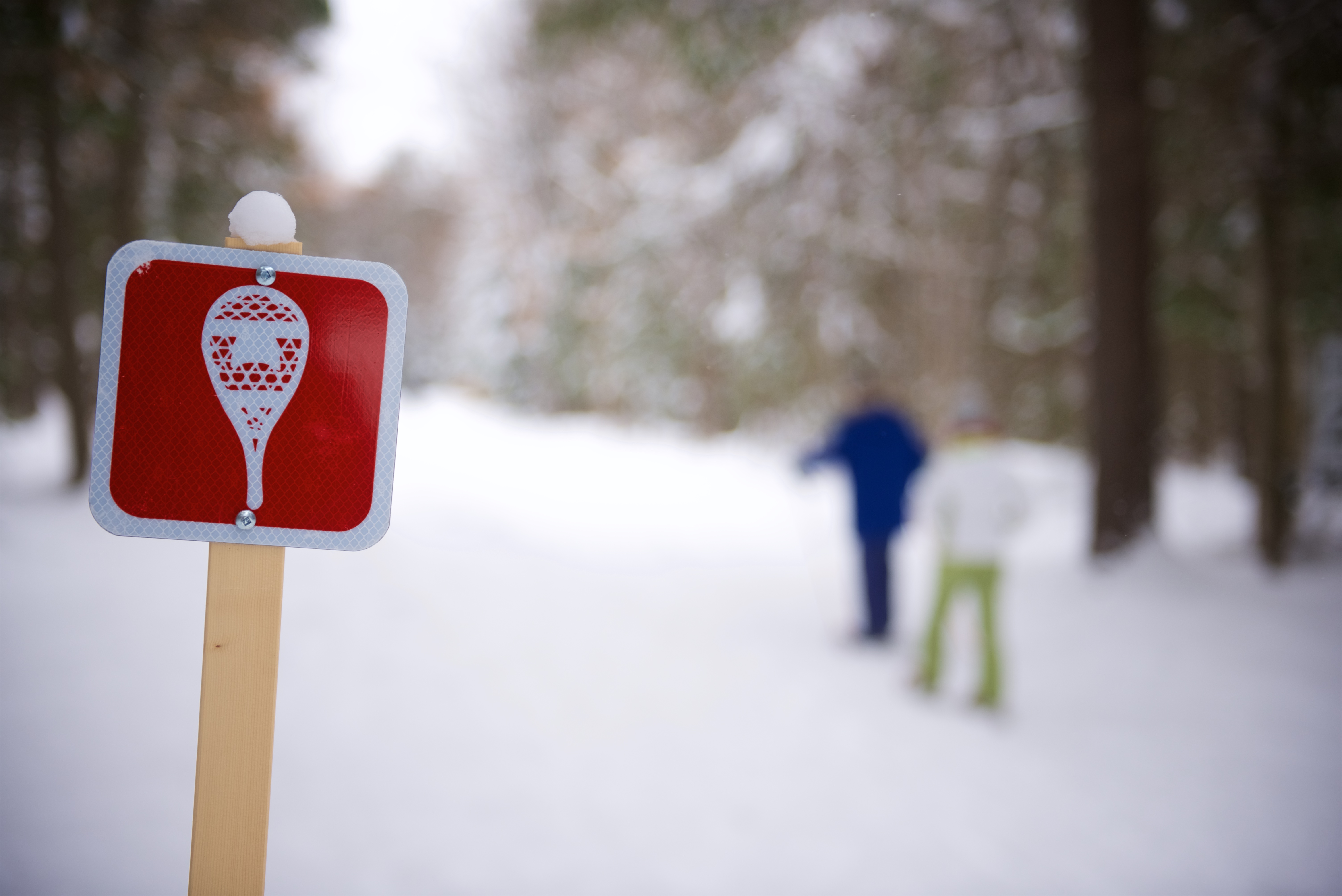 Arrowhead_SnowshoeTrailSign.jpg